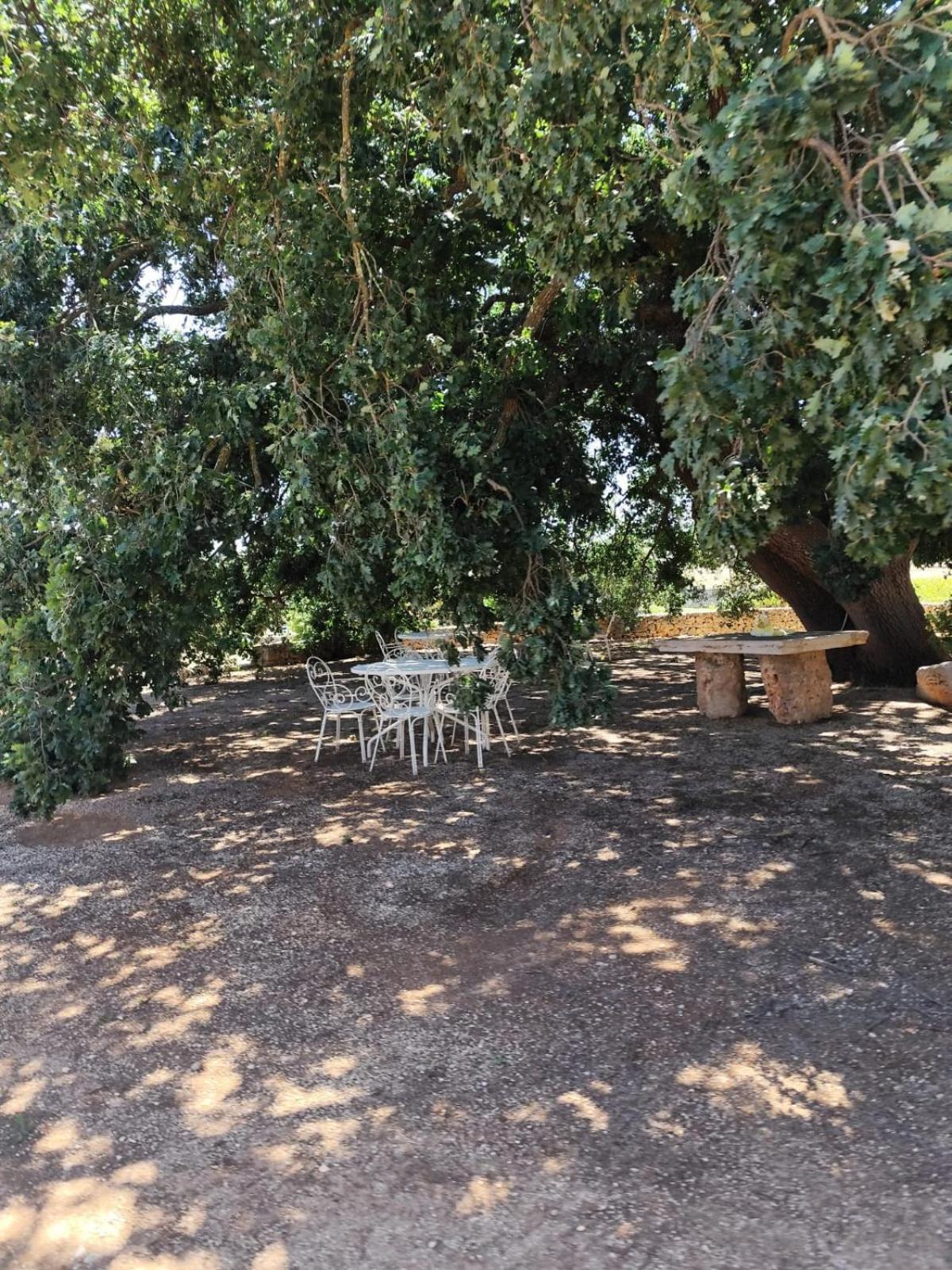 Masseria Palmo Francavilla Fontana Luaran gambar